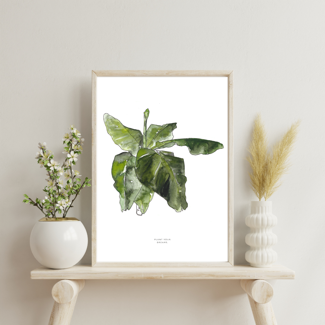 Plant your dreams